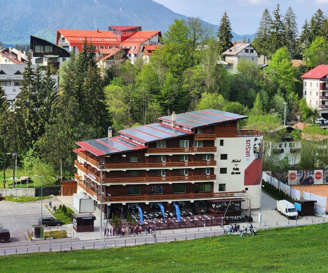 Cabana Fulg De Nea Предял Экстерьер фото